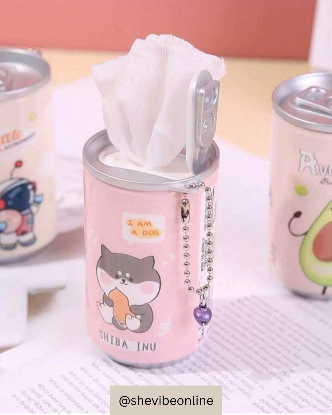 Pocket Can Makeup Wipes